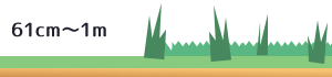 61cm~1m